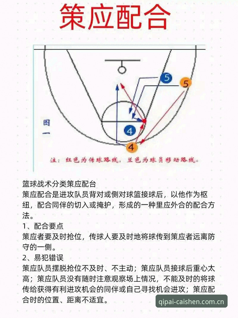 揭秘CBA半决赛G4博弈密码：从上海男篮攻防体系看棋牌战术思维